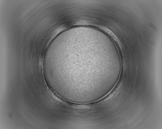 X0000112921337200909141305