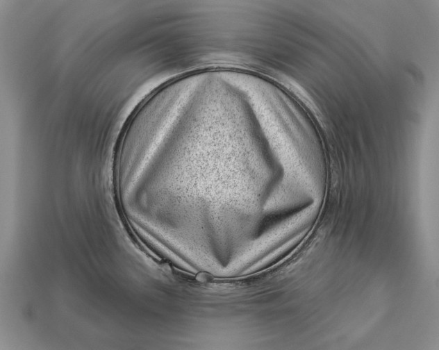 X0000112921339200909141305