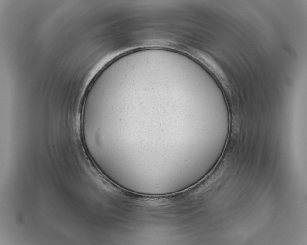 X0000112921340200909141305