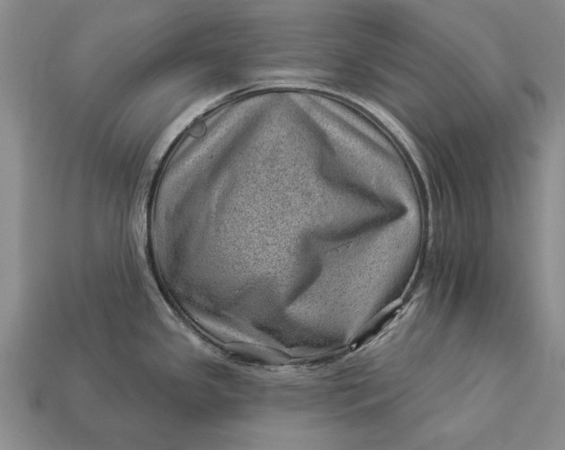 X0000112921341200909141305