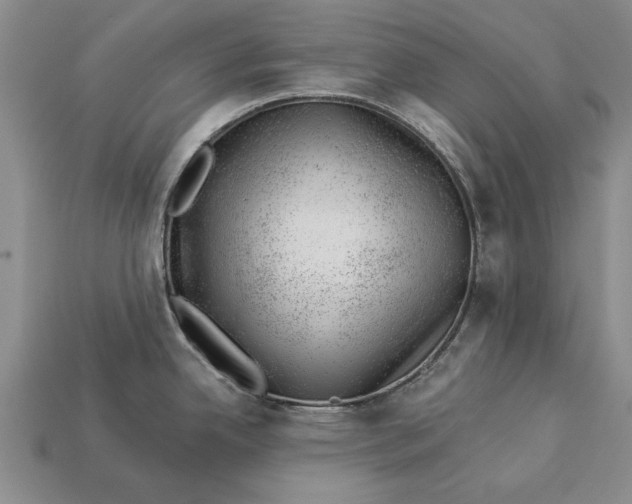 X0000112921342200909141305