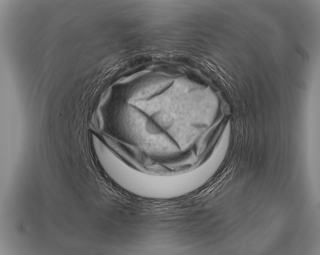 X0000112921345200909141304