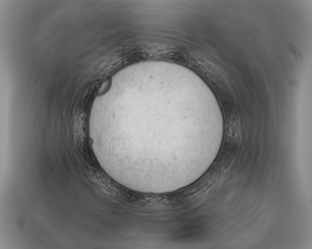 X0000112921346200909141304