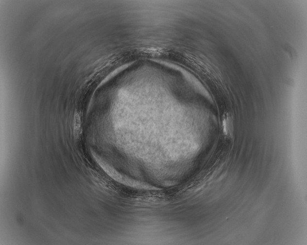 X0000112921347200909141304