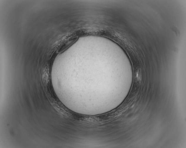 X0000112921348200909141304