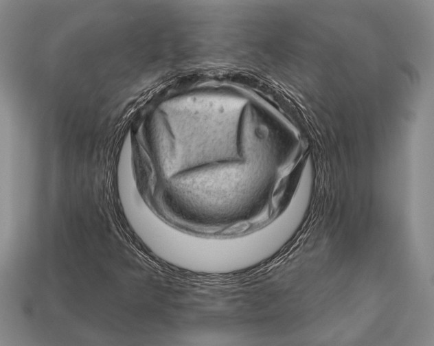 X0000112921349200909141304