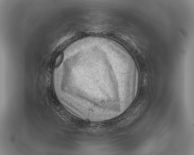 X0000112921350200909141304