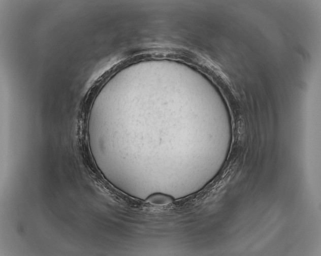 X0000112921352200909141304