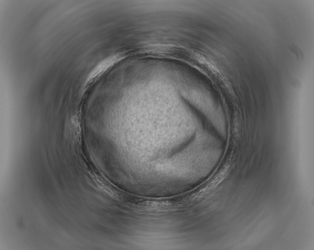 X0000112921354200909141304