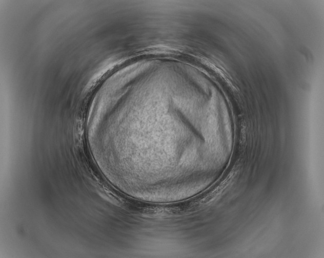 X0000112921355200909141304