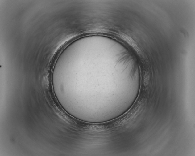 X0000112921356200909141304