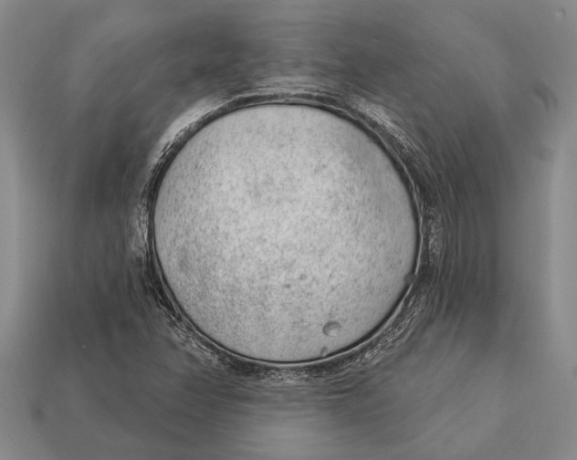 X0000112921358200909141304