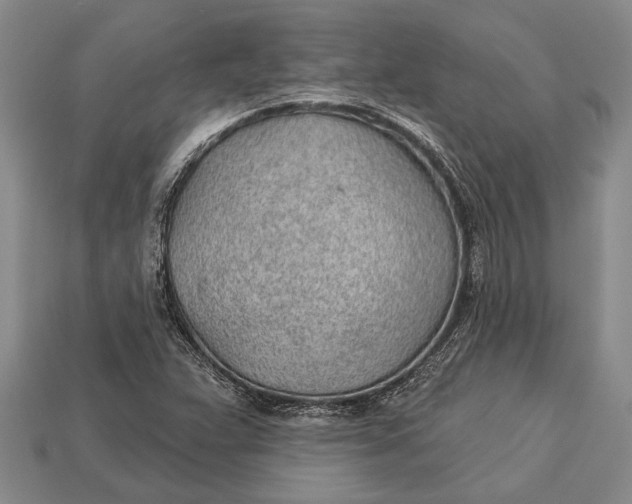 X0000112921359200909141304