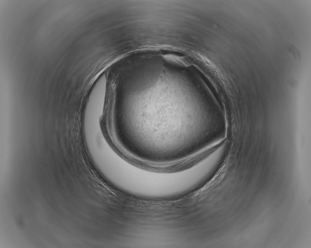 X0000112921361200909141304