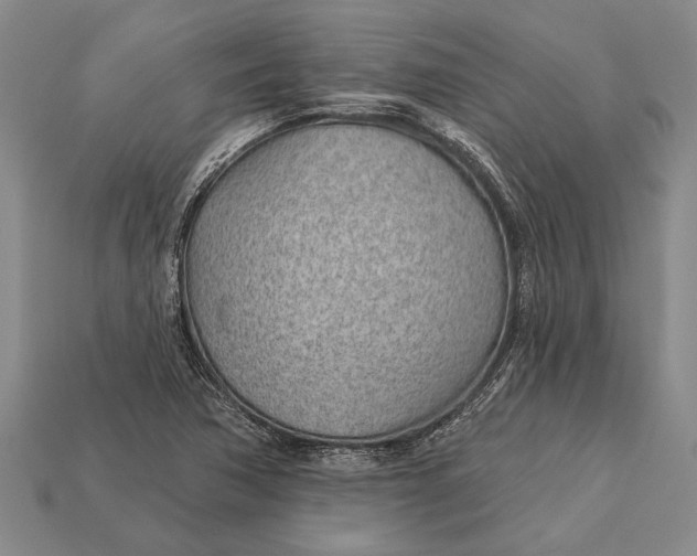 X0000112921362200909141304
