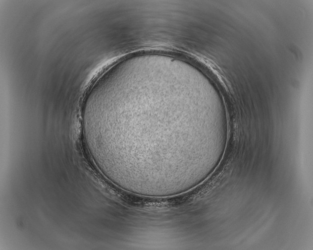 X0000112921363200909141304