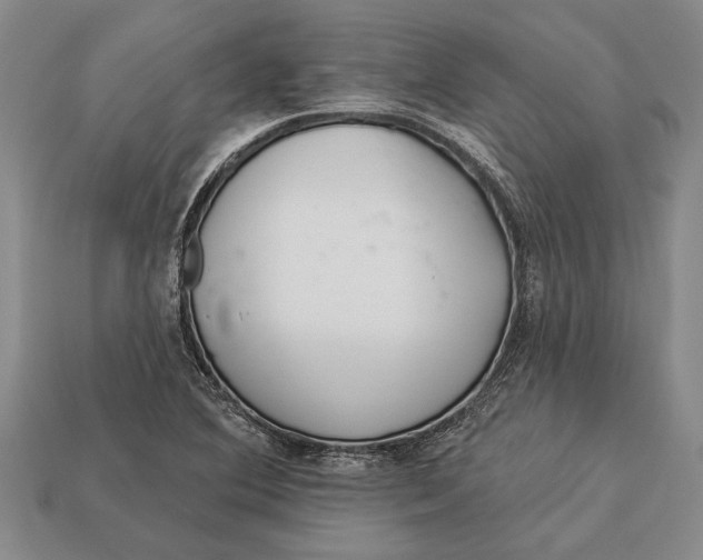 X0000112921364200909141304