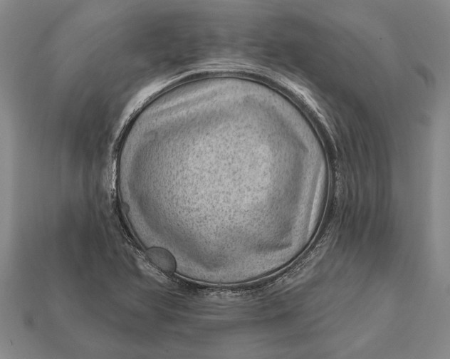 X0000112921366200909141304