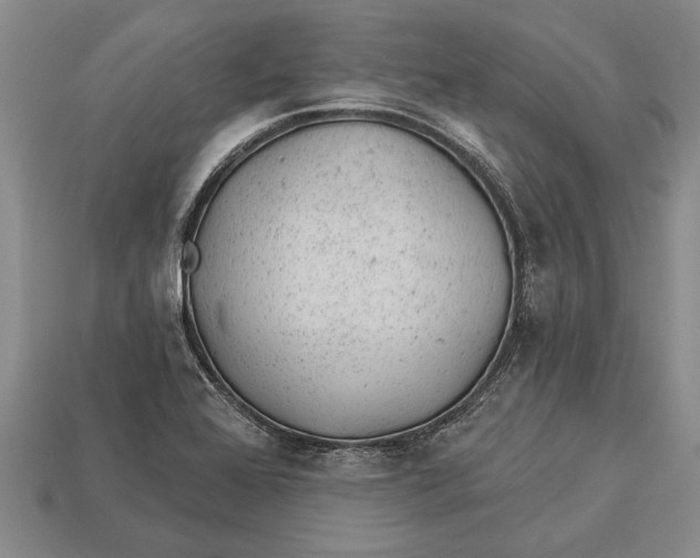 X0000112921368200909141304