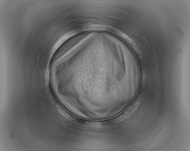 X0000112921370200909141304