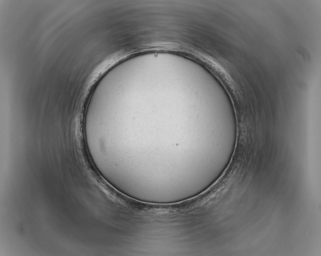 X0000112921373200909141304