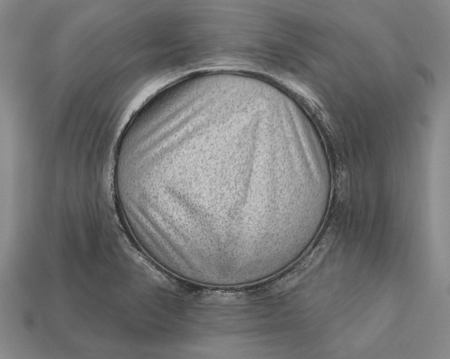 X0000112921374200909141304