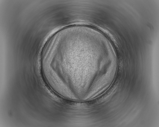 X0000112921375200909141304