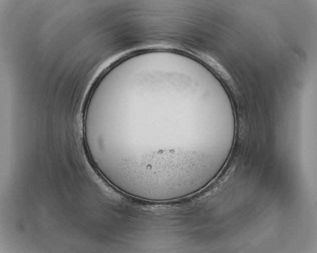 X0000112921380200909141304