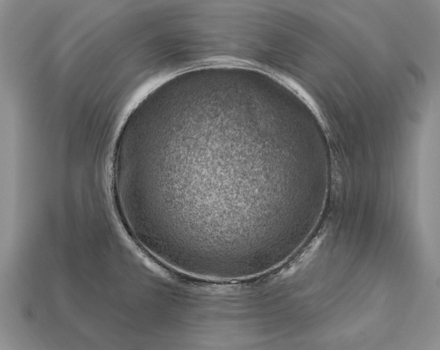 X0000112921381200909141304