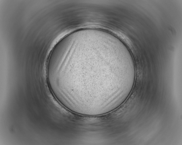 X0000112921382200909141304