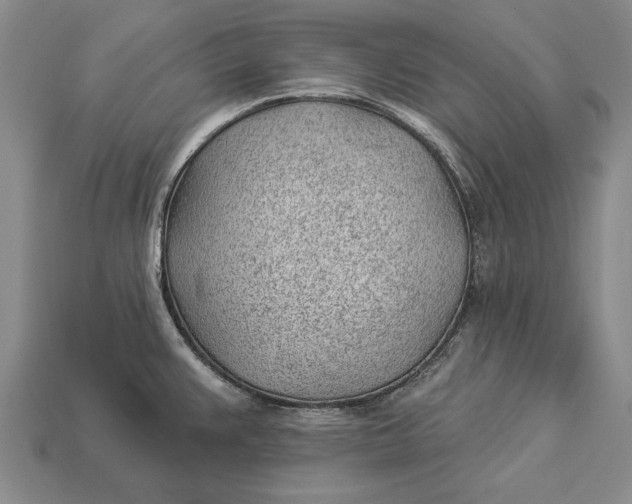 X0000112921383200909141304