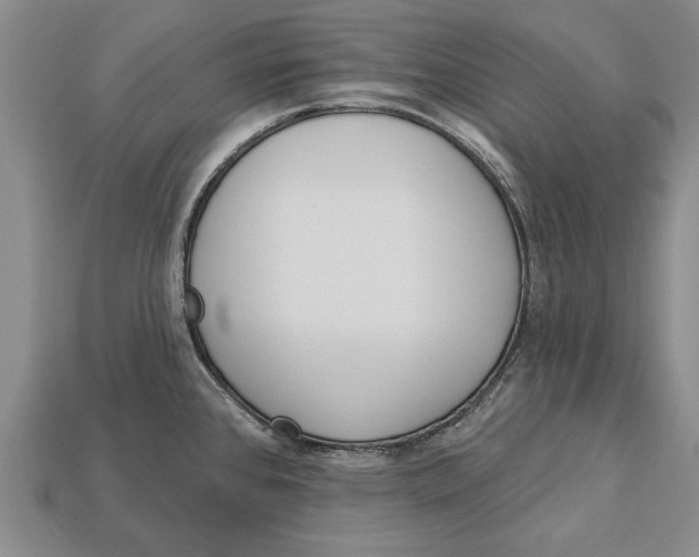 X0000112921384200909141304
