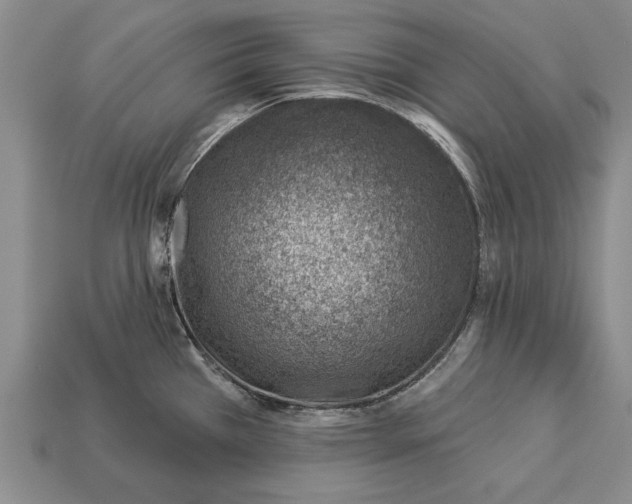 X0000112921385200909141304