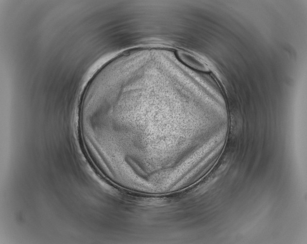 X0000112921387200909141304
