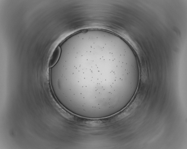 X0000112921388200909141303