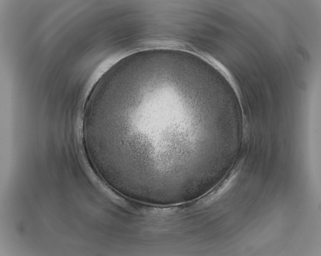 X0000112921389200909141303