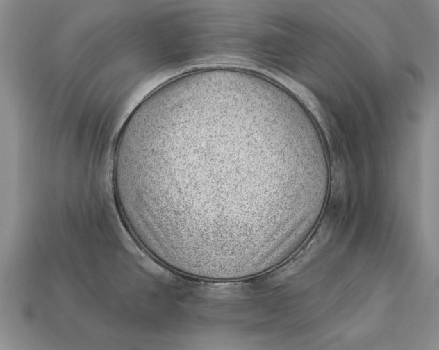 X0000112921390200909141303