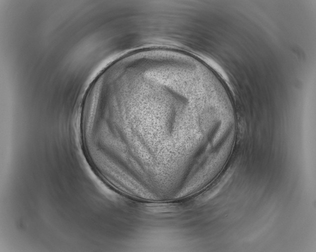 X0000112921391200909141303