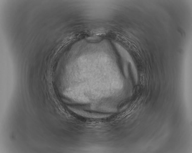X0000112921393200909141303