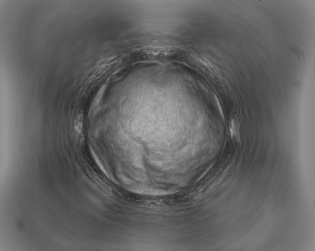 X0000112921396200909141303