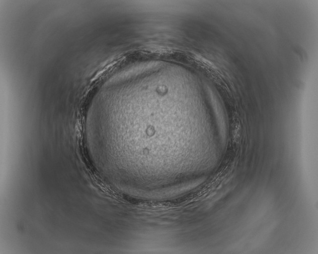 X0000112921397200909141303