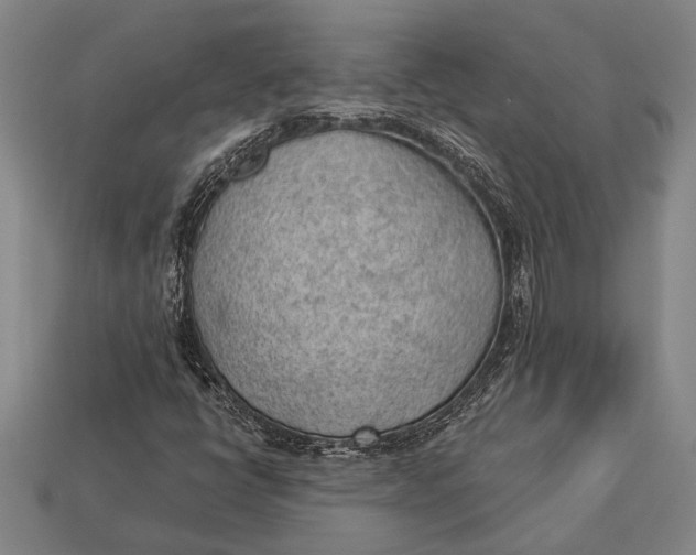 X0000112921398200909141303