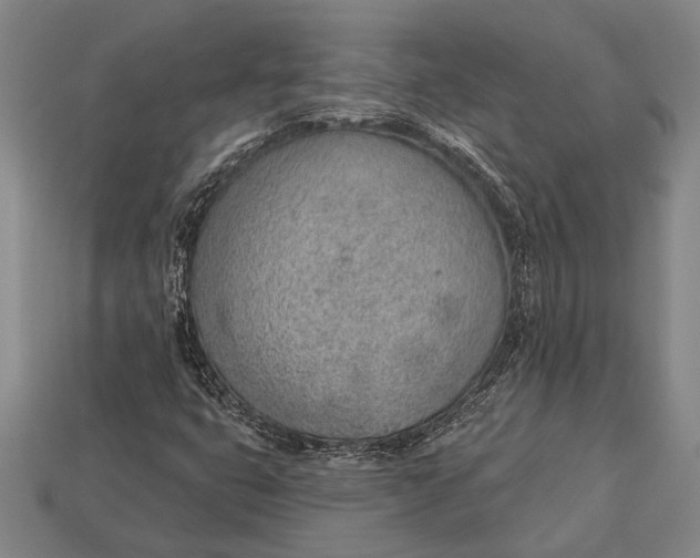 X0000112921399200909141303