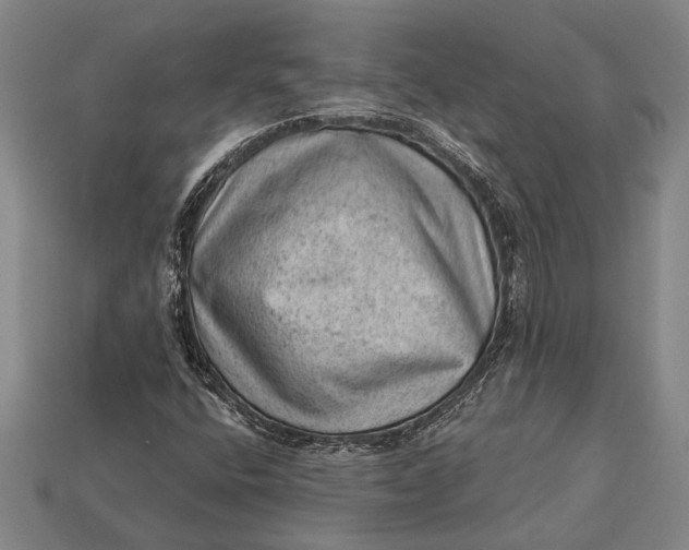 X0000112921400200909141303