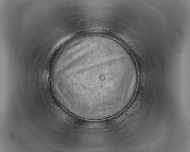 X0000112921402200909141303