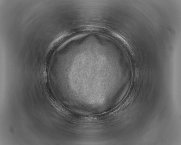 X0000112921403200909141303
