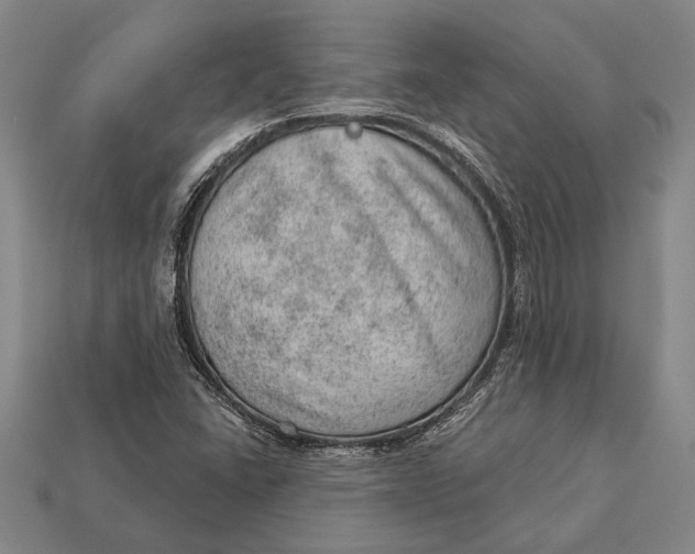X0000112921406200909141303