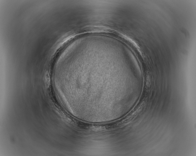 X0000112921407200909141303