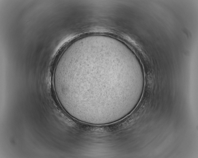 X0000112921408200909141303