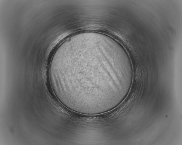 X0000112921410200909141303